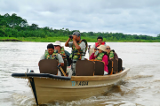 Туристы Сингапура смогут попутешествовать по Амазонке