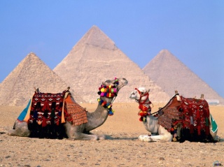 Надежда Египта – туристы из России